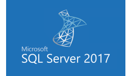 MS SQL Server 2017 Standard Edition Runtime (serwer + 6 stanowisk)